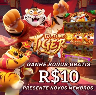 Bingo ao vivo